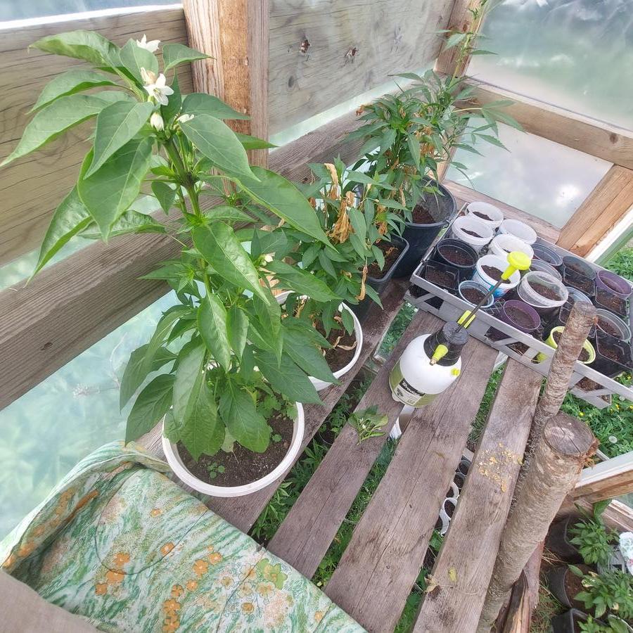 17809332543085095569258105193201.jpg