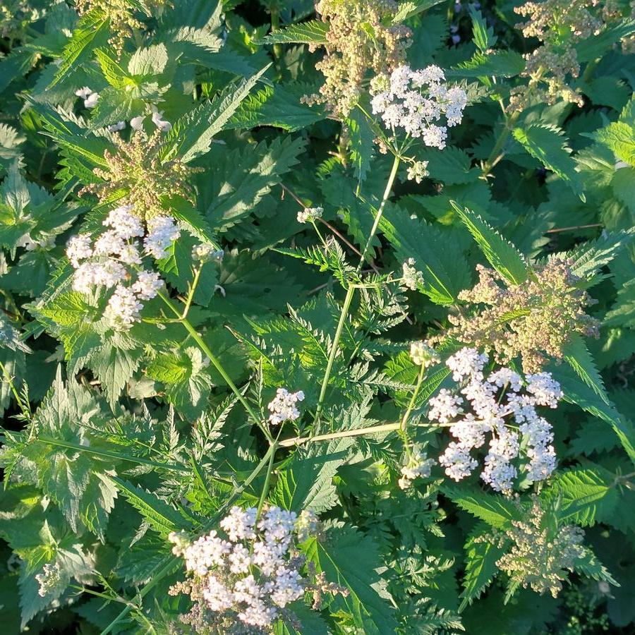 20260607-211842.jpg