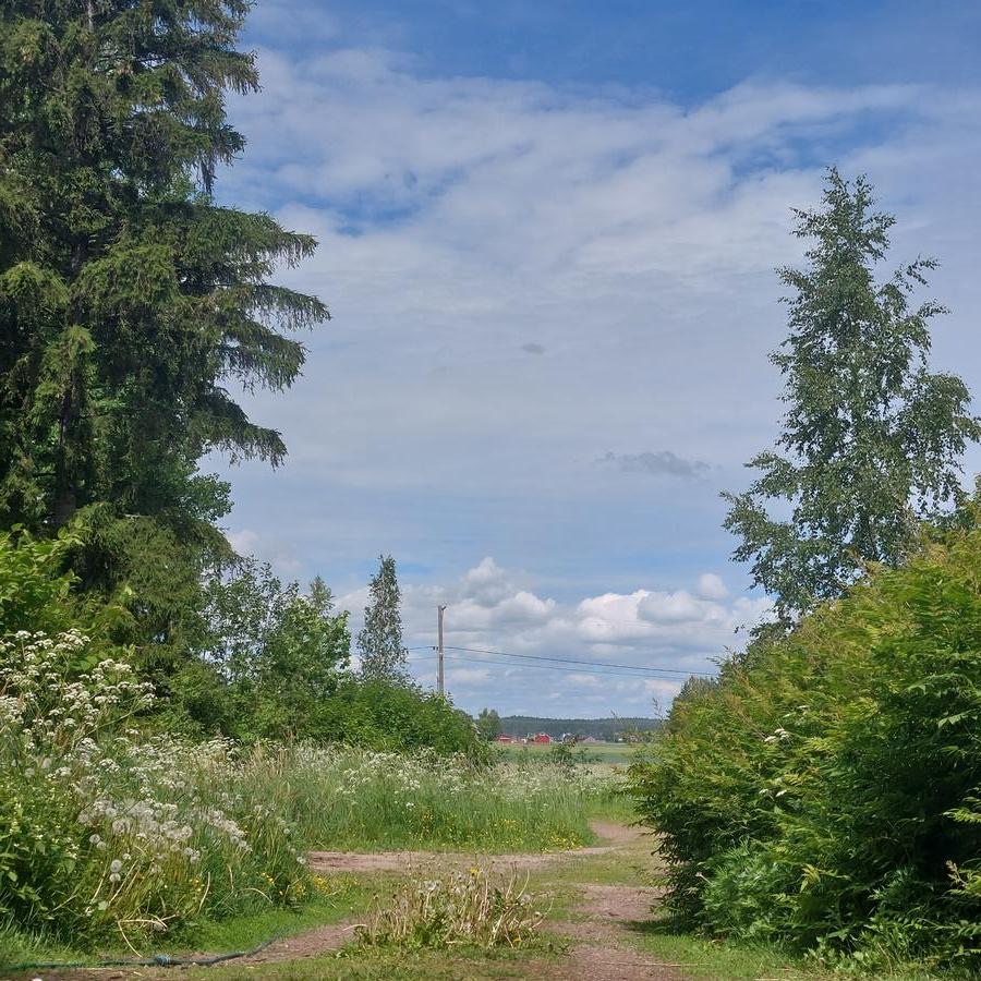 Android Samsung Camera Version