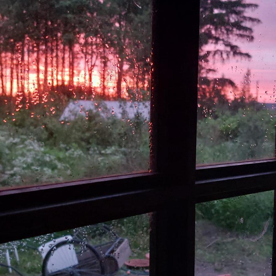 20260617-225204.jpg 20260617-225204.jpg