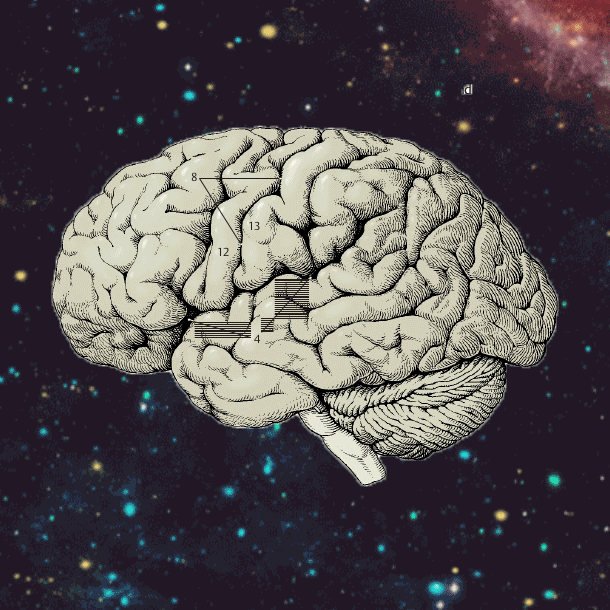 brain2.gif