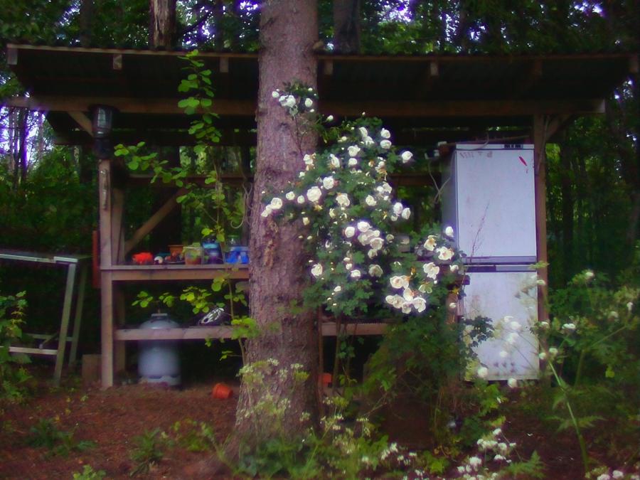 kingrobingonzopigarden-2.jpeg