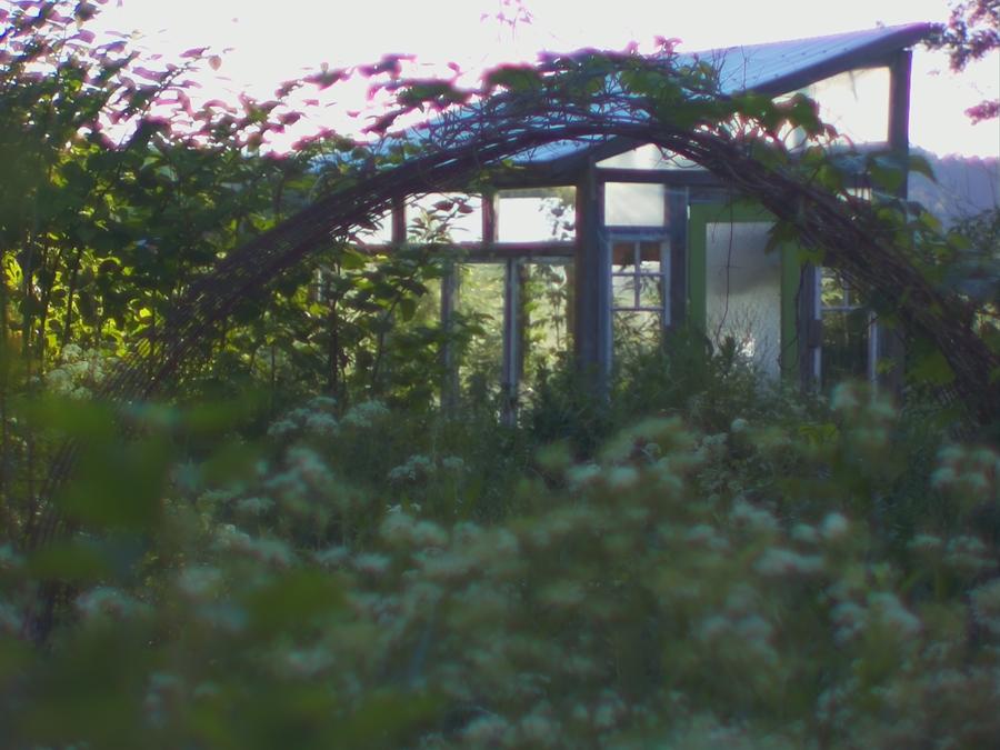 photos-from-skinnarby-permanent-culture-garden-15.jpeg