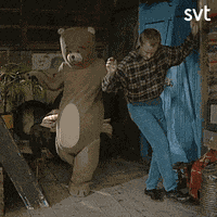 robert.gif
