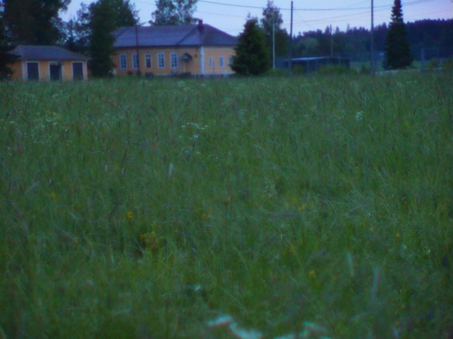 robinstragard-2026-sommaren-5.jpeg