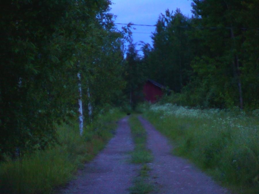 robinstragard-2026-sommaren-7.jpeg