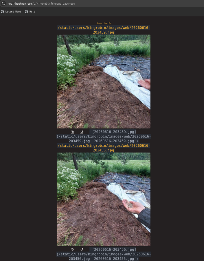 screenshot-2026-06-17-01-37-13.png