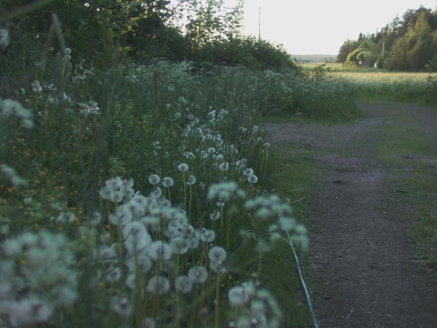 skinnarby-beach-green-hill-80.jpeg skinnarby-beach-green-hill-80.jpeg