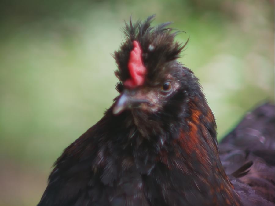 skinnarby-today-later-later-3.jpeg skinnarby-today-later-later-3.jpeg