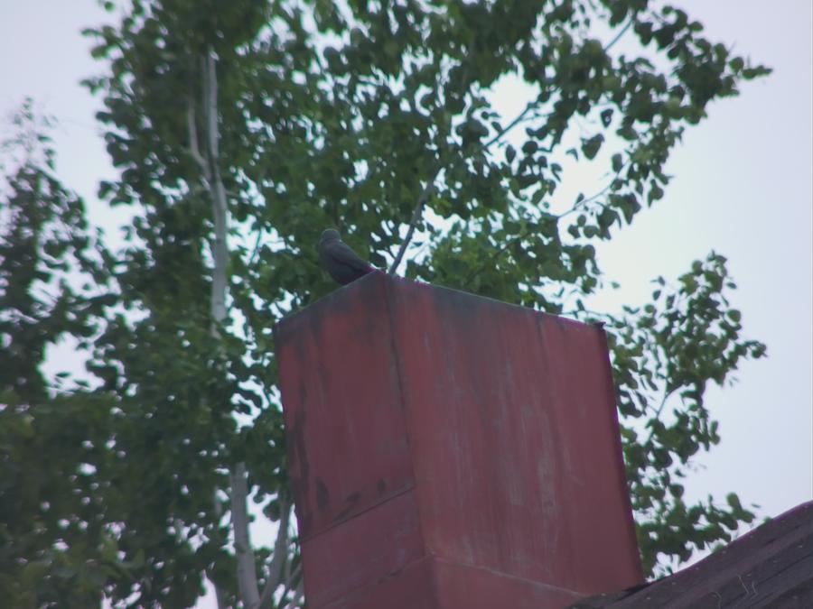 skinnarby-today-later-later-5.jpeg