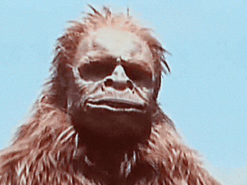sassy3.gif
